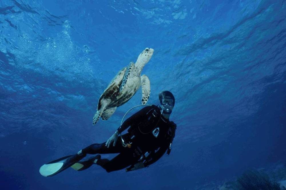 Sand Dollar Bonaire Кралендейк Экстерьер фото