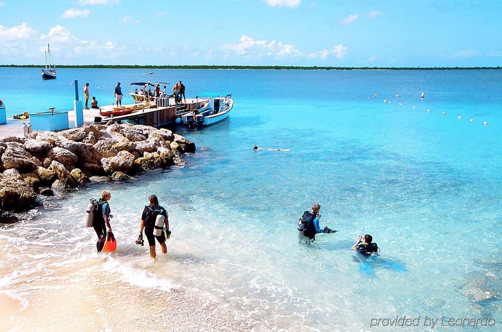 Sand Dollar Bonaire Кралендейк Экстерьер фото